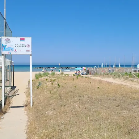 Boutique Endless Summer Senigália