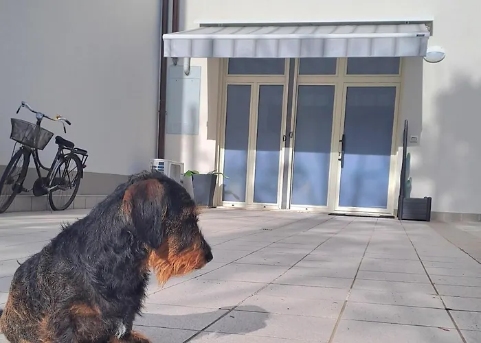 Boutique Endless Summer Apartamento