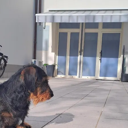 Boutique Endless Summer 公寓