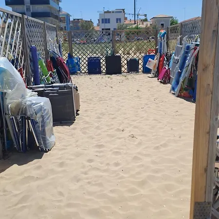 Boutique Endless Summer